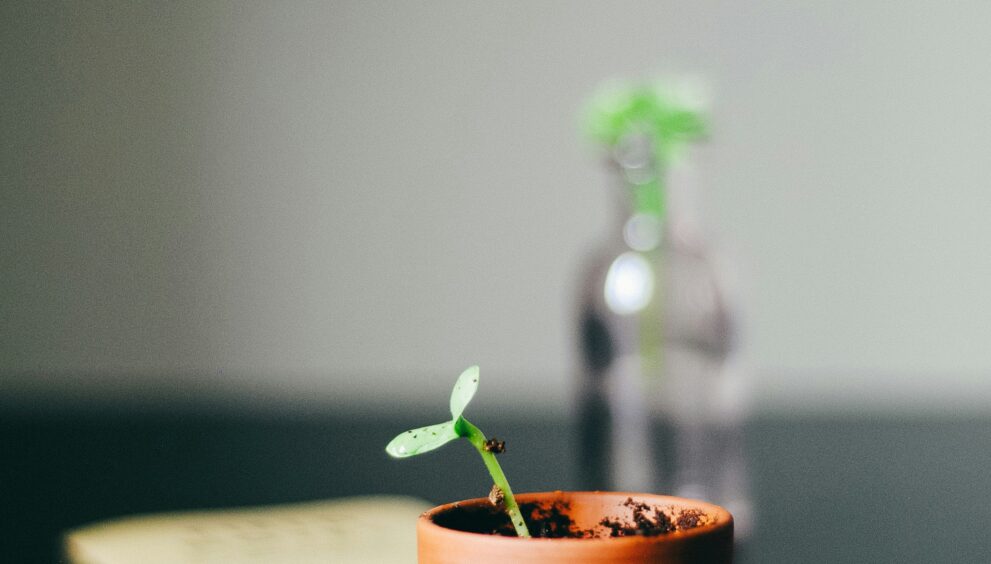 World Bank growth forecast